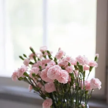 Apartamento Kotoisa Asunto Museon Pihapiirissae Rautalammilla *