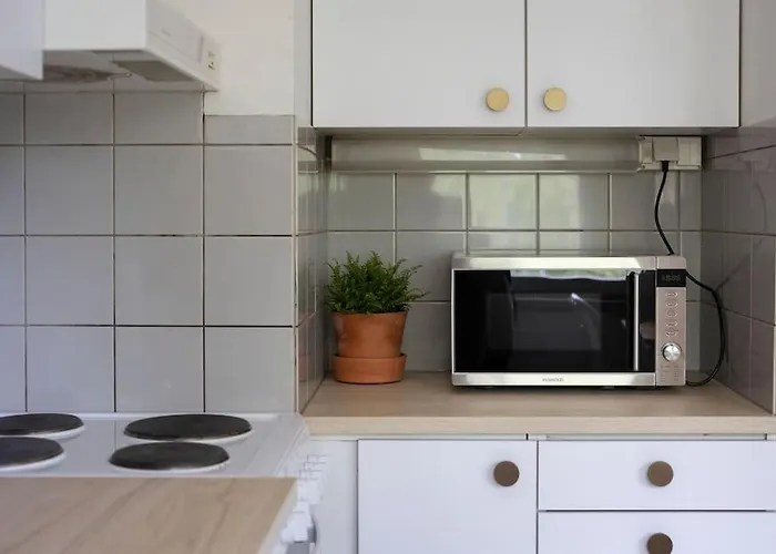 Apartment Kotoisa Asunto Museon Pihapiirissae Rautalammilla *