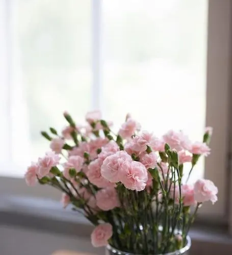 Apartment Kotoisa Asunto Museon Pihapiirissae Rautalammilla *